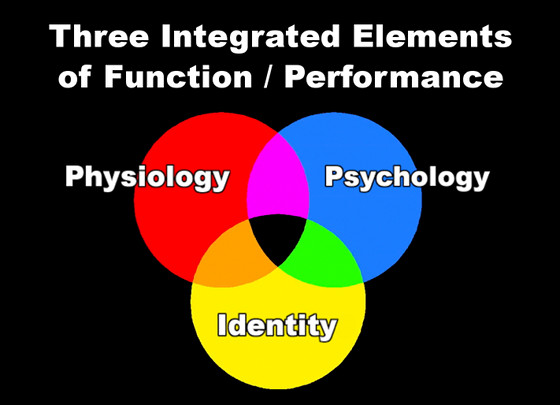Three elements of performance